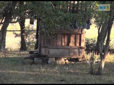 ზაზა გოგსაძე