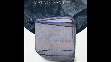 câu cá mặt vợt  câu đơn đài săn hàng