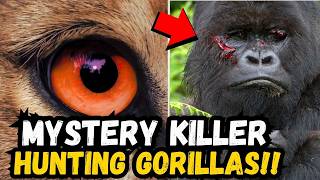 🚨 BREAKING: Mystery KILLER Predator TERRORIZING Gorillas - Species Could Go EXTINCT!!