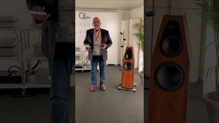No music hi-fi #audiophile #stereo #hiend