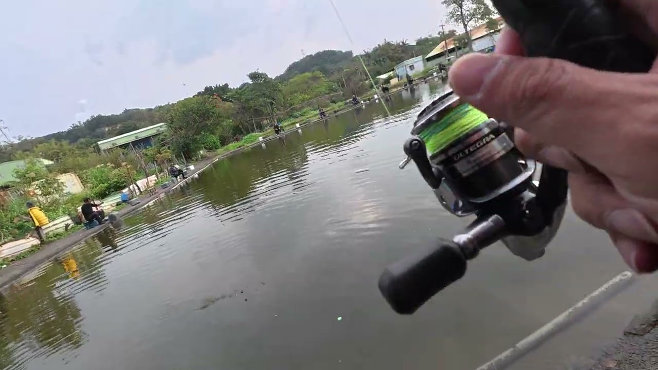 桃園南崁茂林烏鰡彩金池 金寶螺 池釣 fishing in Taiwan DJI Action 5 pro 2026/02/20