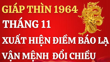 Giáp Thìn 1964 : Điềm Báo Lạ Tháng 11 Âm Lịch - 3 Tín Hiệu Thiên Cơ Mở Ra Cơ Hội 12 Năm Tới!