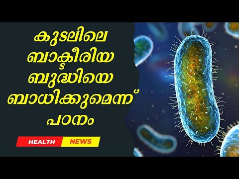 കുടലിലെ ബാക്ടീരിയ ബുദ്ധിയെ ബാധിക്കുമെന്ന് പഠനം |Gut bacteria issue |Doctor Live News