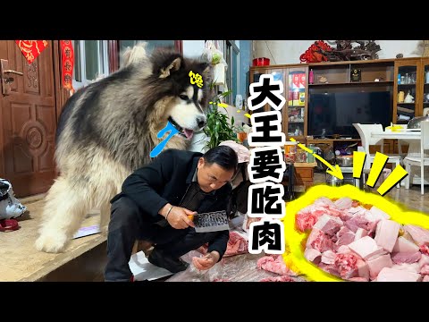 说出来你们可能不信，这头猪是爸爸专门给王宝宝宰的，王王最爱吃油底肉，所以这只猪的肉肉都做成油底肉了～【阿盆姐家的大王】