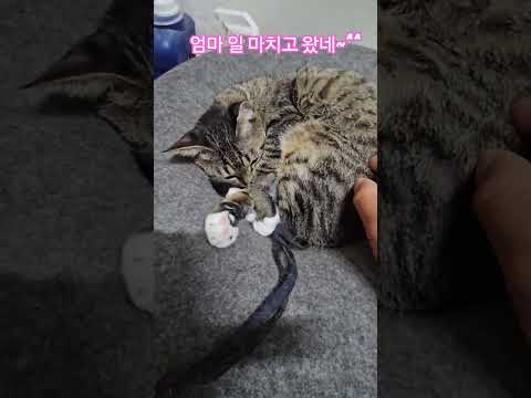우리 딸 #햇살 #출근 #부산강서구 #구독 #좋아요 #감사합니다