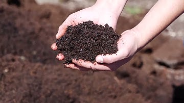Measuring Moisture Content of Compost in the Field