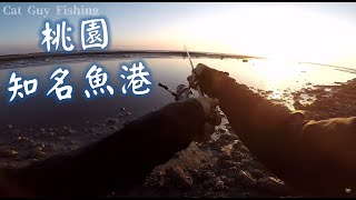 桃園知名魚港........旁的河口小搞搞【釣遊】【路亞】 