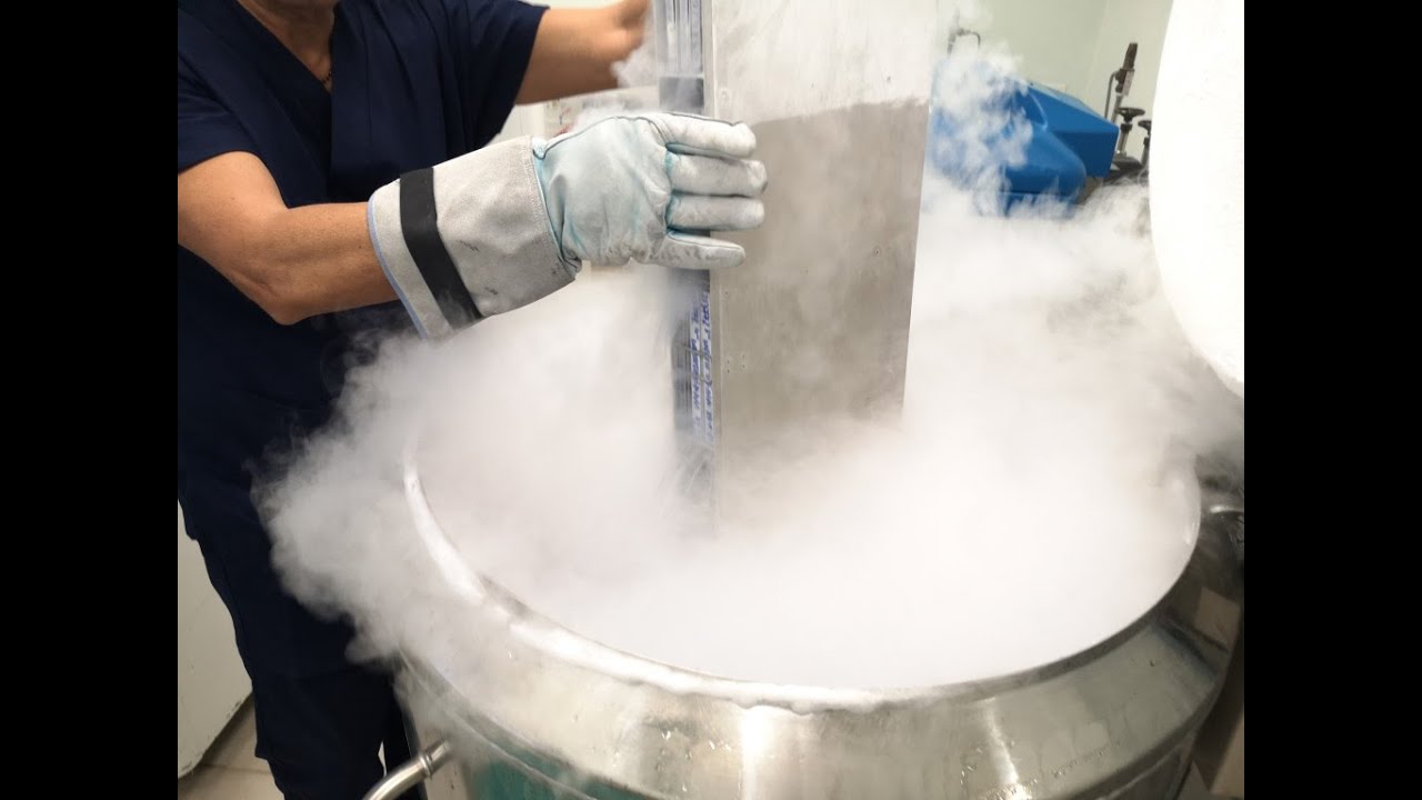 Impiego di terapie cellulari con CAR-T nella Asl Brindisi