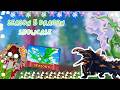 Showcasing the 2 brand new season 5 dragons {Dragon Adventures}