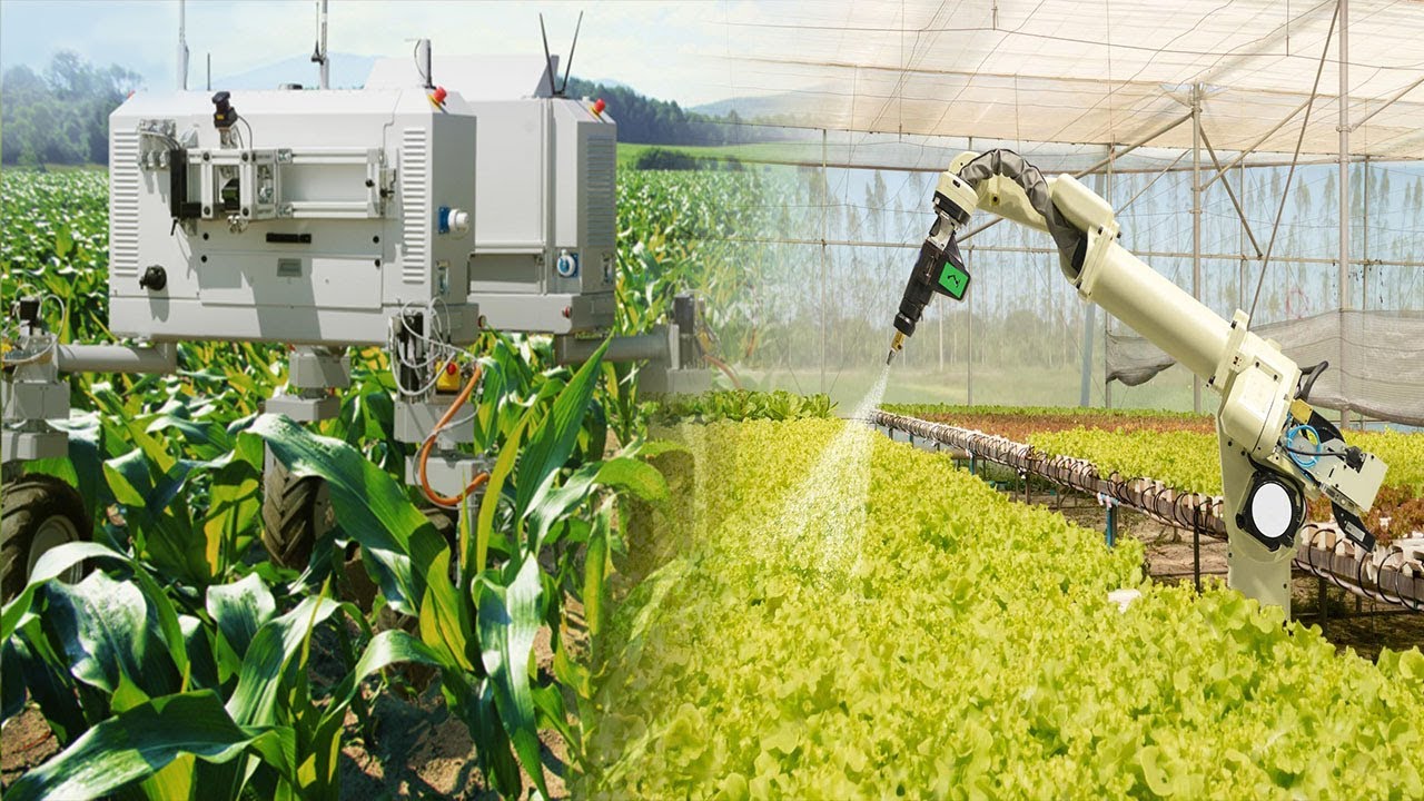 Watch This Extremely Automated Robotic Farming Showing Unbelievable  Automation - YouTube