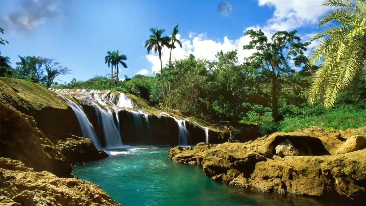 Background Pemandangan Alam Bergerak  YouTube