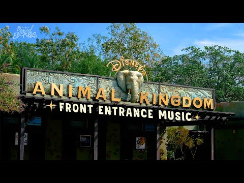 Animal Kingdom Entrance Music Disney World Ambience Relax Study Sleep 