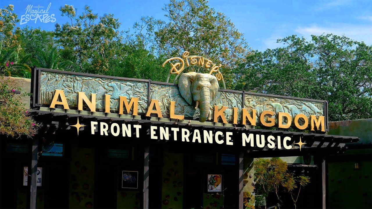 Animal Kingdom Entrance Music | Disney World Ambience | Relax, Study, Sleep