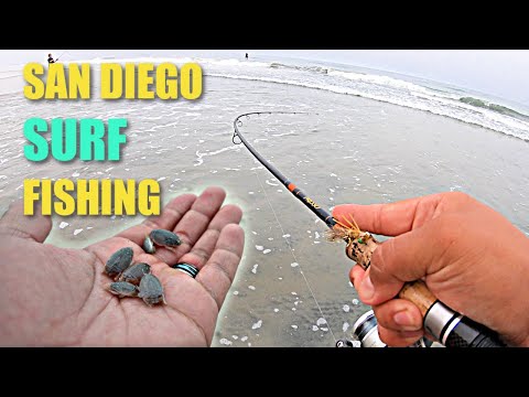 Fishing with LIVE Sand Crabs  Beach Surf Fishing San Diego 