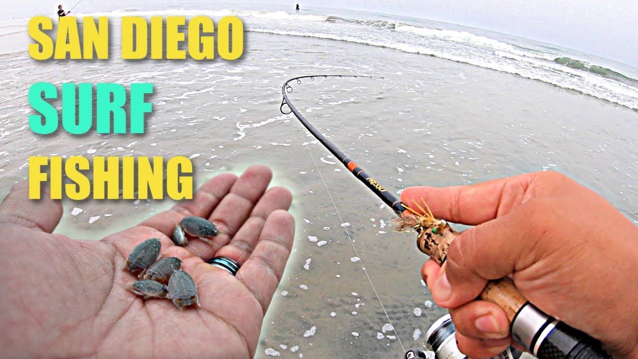 Fishing with LIVE Sand Crabs  Beach Surf Fishing San Diego 