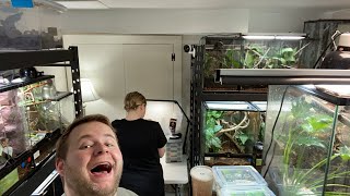 Reptile room livestream