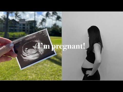 임밍아웃 Vlog 아기천사가 찾아왔어요 🐰💕 | 오랜만에 인사드립니다! 우리 아기의 성별은? | 임산부의 일상 | 갖고 싶었던 가방 언박싱 선물 🎁
