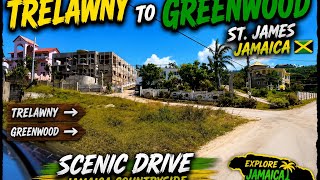 EXPLORE Jamaica's Countryside from Daniel Town to Greenwood St James