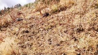 Ride To East Sikkimchangu Lake Baba Mandir Nathang Vally Silk Route Zuluk
