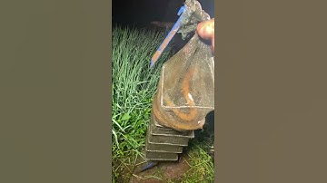 How to catch Eel fish with hook#136