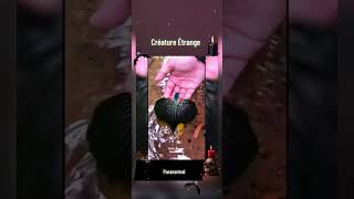 Créature Étrange #djinn #alien