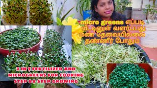 ready to eat in 7 days | how to grow microgreens without soil | microgreens  in water in 7 days |