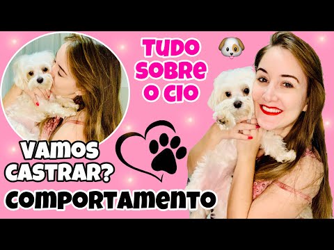 TUDO SOBRE O CIO DAS CADELAS: DURAÇÃO, COMPORTAMENTO, CASTRAÇÃO E DICAS - MALTÊS 2020 | Bianca Peres