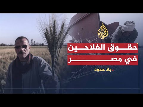 بلا حدود | أسباب تدهور حال الفلاح المصري وتدمير زراعة القطن والقمح مع الحاج عبد المجيد الخولي