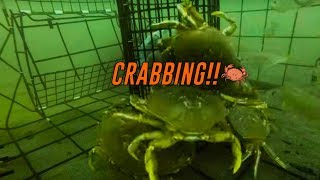 How To Set & Pull Crab Pots 🦀 How To Use Crab Pots