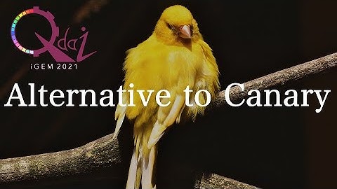 iGEM Qdai 2021 Promotion Video [Japanese]