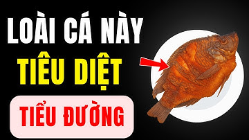 5 loại CÁ tốt nhất cho người TIỂU ĐƯỜNG: Hạ đường huyết nhanh chóng và duy trì sự trao đổi chất