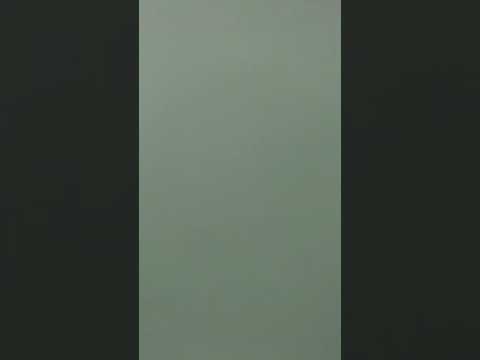 創世紀第16章