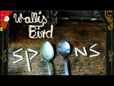 wallis bird blossoms in the street album version
