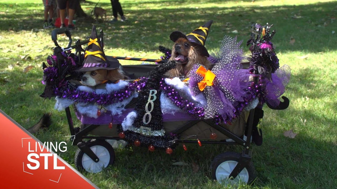 APA of Missouri's 100th Anniversary | Living St. Louis