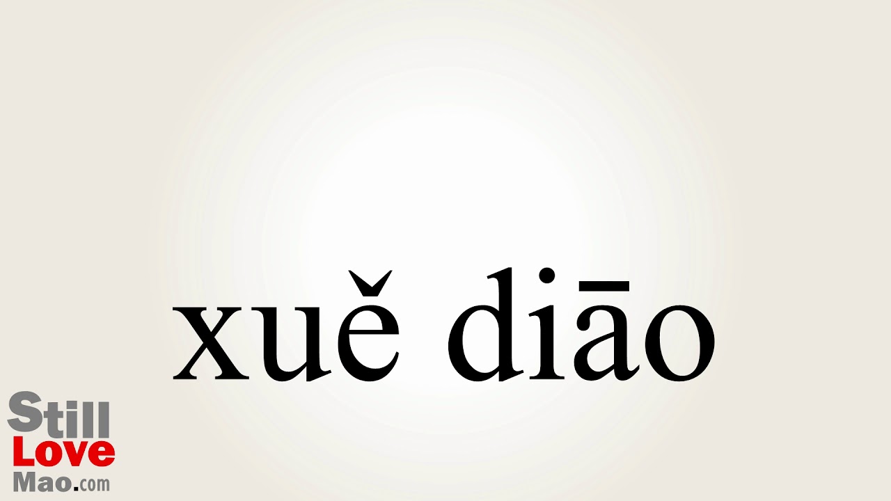 How to Say ferret in Chinese YouTube