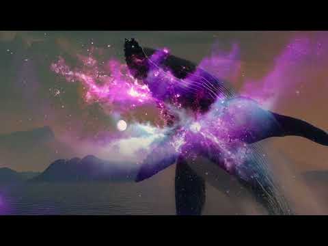 PYRAMIDAL | Booktrailer