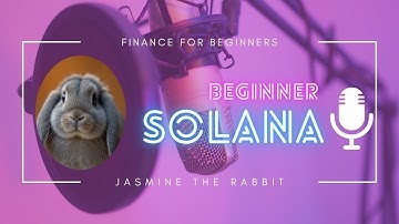 What Is Solana? The Beginner’s Guide to SOL, the Fastest Blockchain