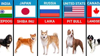 Dog Breeds From Different Countries  | Famous Dog Breeds From Different Countries