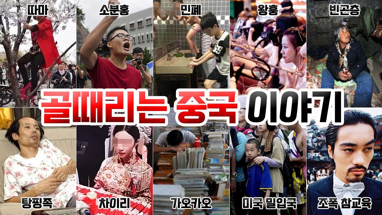 골때리는 중국 이야기 몰아보기 [따마,소분홍,민폐,왕훙,빈곤층,탕핑족,차이리,가오카오,조폭참교육,미국밀입국]