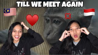 Alffy Rev - Till We Meet Again (ft Little Linka)   || Malaysian Reaction !