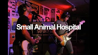 Small Animal Hospital: Off the Record (Live on Radio K)