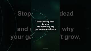 Stop Watering Dead Flowers | 432 Hz #shorts
