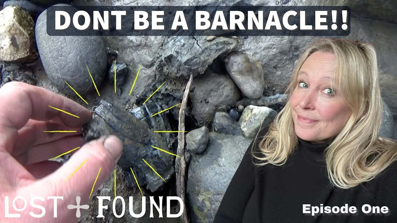 Everything You Didn't Know About Barnacles....Until Now!! Lost & Found with 