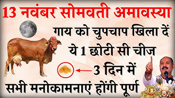 13 नवंबर सोमवती अमावस्या गाय माता को चुपचाप खिला दें ये 1 चीज बनोगे करोड़पति- Pardeep mishra