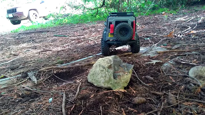 Traxxas Trx-4 Locking Differentials & 2-Speed Transmission Demo