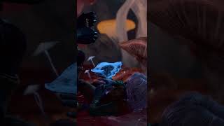 Baldur's Gate 3 Is always a good idea to have an antidote on hand #bg3 #baldur Wealth