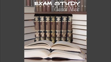 Schuster - VI Quartet in D minor