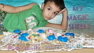 Pink Shells White Shells | My Magic Shell | Kids Nursery Rhymes | Fun Learning With HITEN