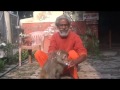 Shyam Sadhu feeding Injured Monkey