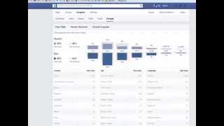 How To Remove 1700 Fake Facebook Likes With Software screenshot 4